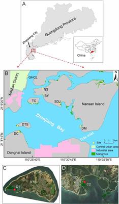 Heavy metal pollution status and deposition history of mangrove sediments in Zhanjiang Bay, China